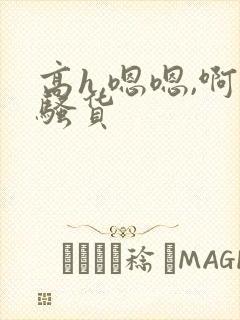 高h,嗯嗯,啊骚货