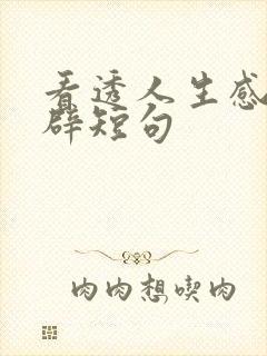 看透人生感悟精辟短句