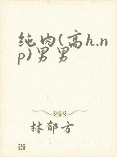 纯肉(高h.np)男男
