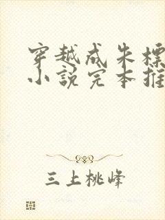 穿越成朱标历史小说完本推荐