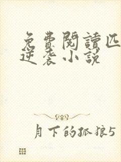 免费阅读匹夫的逆袭小说