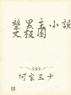 双男主小说甜宠文校园