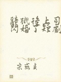 辞职后上司和我闪婚了短剧