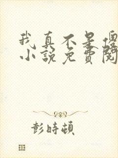 我真不是傻子了小说免费阅读全文