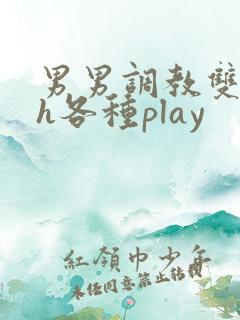 男男调教双性高h各种play