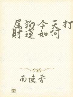 属狗今天打牌的财运如何