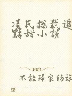 凌氏总裁追妻有点甜小说