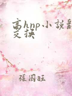 高hnp小说乱交换