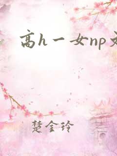 高h一女np文