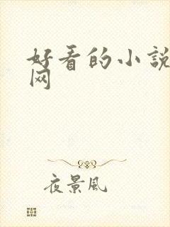 好看的小说阅读网