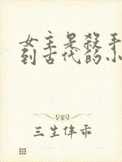 女主是杀手穿越到古代的小说