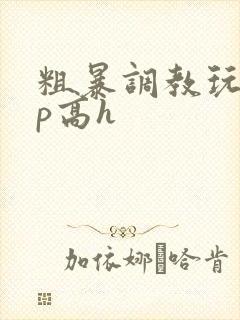 粗暴调教玩弄np高h