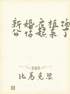 新婚夜植物人老公站起来了短剧完整