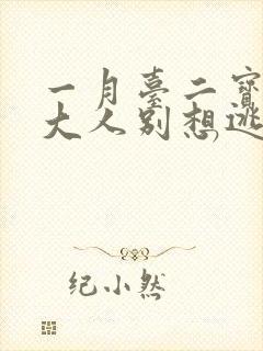 一月台二宝老婆大人别想逃大结局