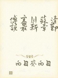 傅寒川苏清窈小说最新章节免费阅读