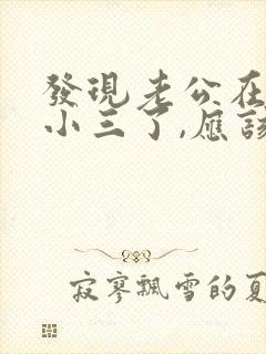 发现老公在外养小三了,应该咋办呢