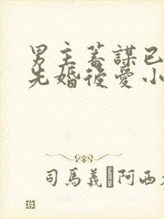 男主蓄谋已久的先婚后爱小说