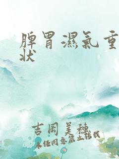 脾胃湿气重的症状