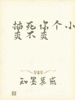 插死你个小骚货爽不爽