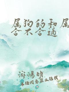 属狗的和属龙的合不合适