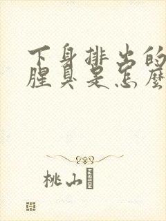 下身排出的味道腥臭是怎么回事?