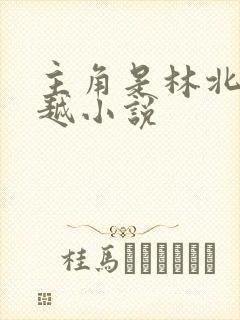 主角是林北的穿越小说