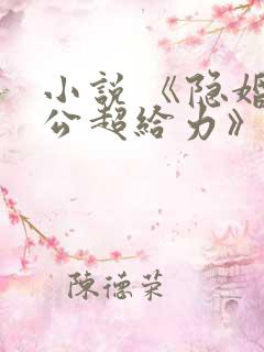 小说 《隐婚老公超给力》