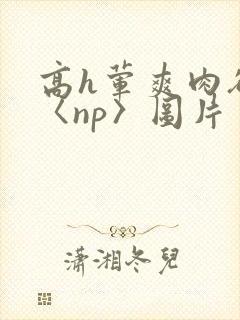 高h荤爽肉欲文〈np〉图片