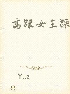 高跟女王踩踏奴