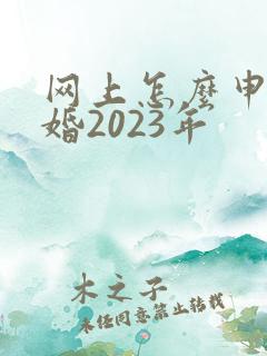 网上怎么申请离婚2023年