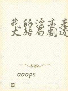 我的漂亮老板娘大结局剧透