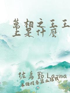 万相之王王境之上是什么