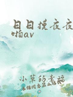 日日摸夜夜爽啪啪av