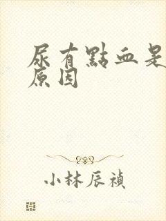 尿有点血是什么原因