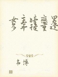 女主暗恋男主很多年后重逢