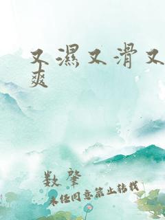 又湿又滑又紧又爽