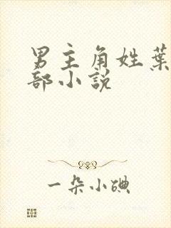 男主角姓叶的全部小说