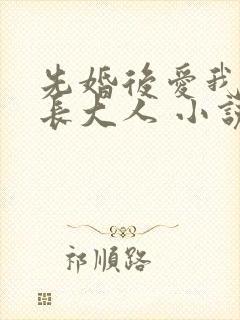 先婚后爱我的市长大人 小说