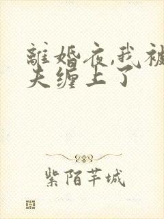 离婚夜,我被前夫缠上了