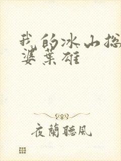 我的冰山总裁老婆叶雄