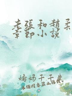 老张和赵柔最新章节小说