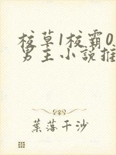 校草1校霸0双男主小说推荐