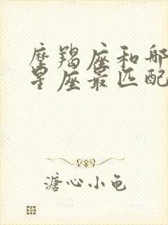 摩羯座和哪一个星座最匹配