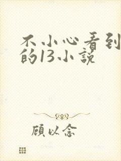 不小心看到姐姐的13小说