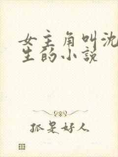 女主角叫沈念重生的小说