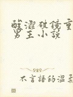 酸涩破镜重圆双男主小说