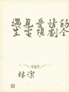 遇见爱情的利先生电视剧全集剧