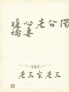 暖心老公独宠小娇妻