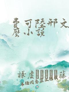 费可陆邢文是什么小说