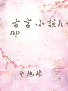 古言小说h古言np